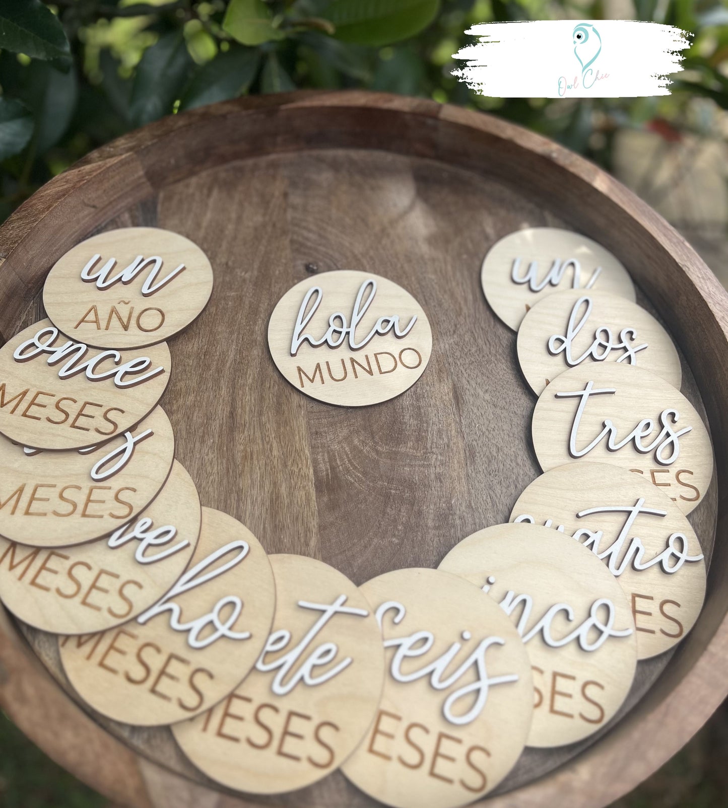 Handmade Baby 3D Milestone Marker Set | Monthly Photo Discs for First Year
