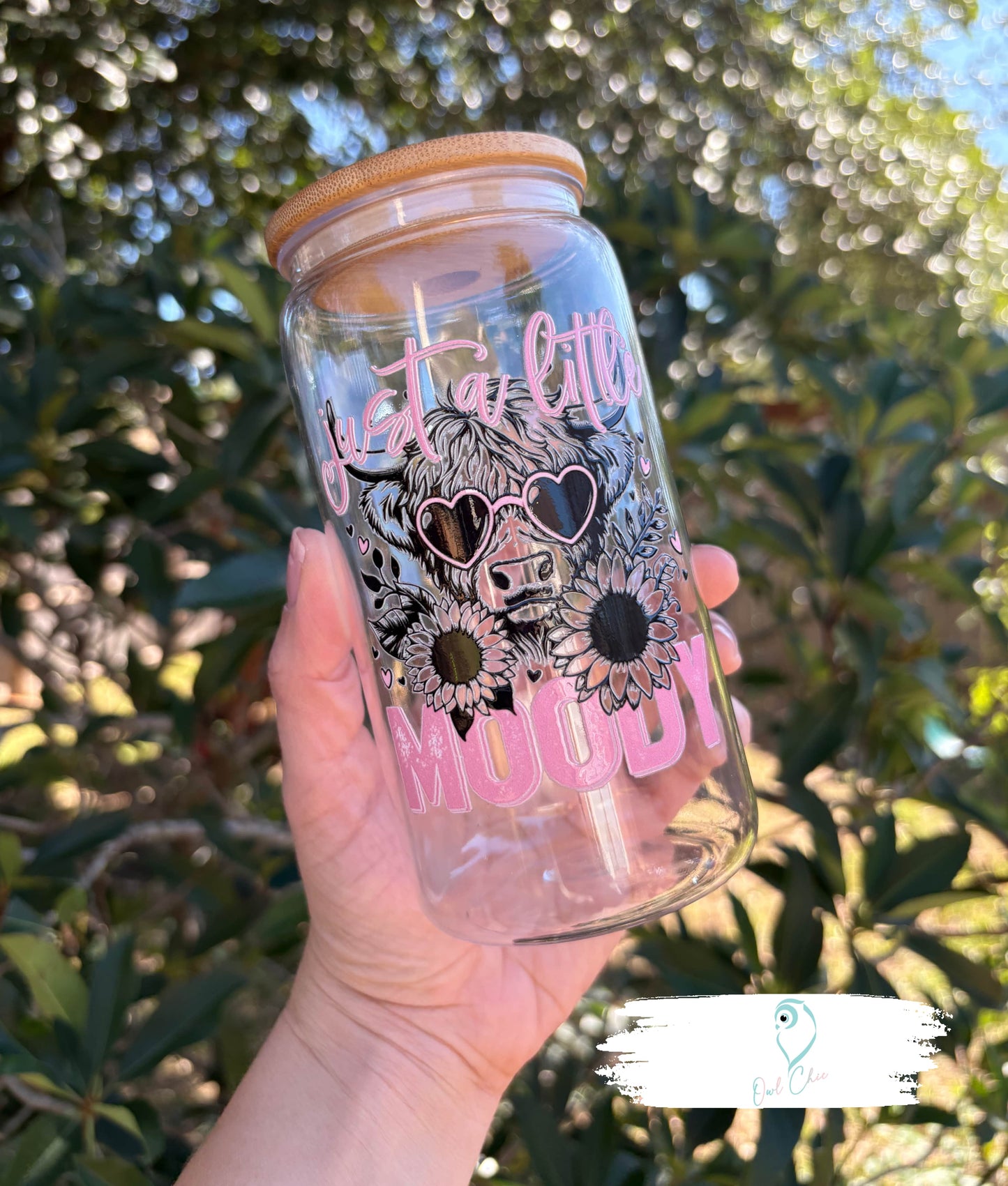 Just a Little Moody Clear 16 oz. Acrylic Cup | Includes Bamboo Lid and Acrylic Straw