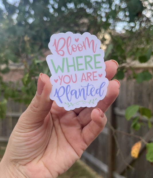 Bloom Where You Are Planted waterproof sticker.