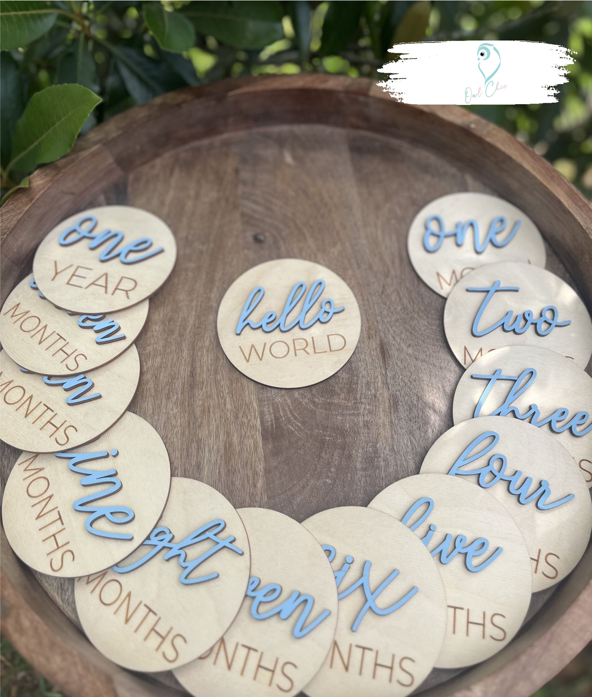 Baby milestone marker set with blue lettering for monthly baby photos