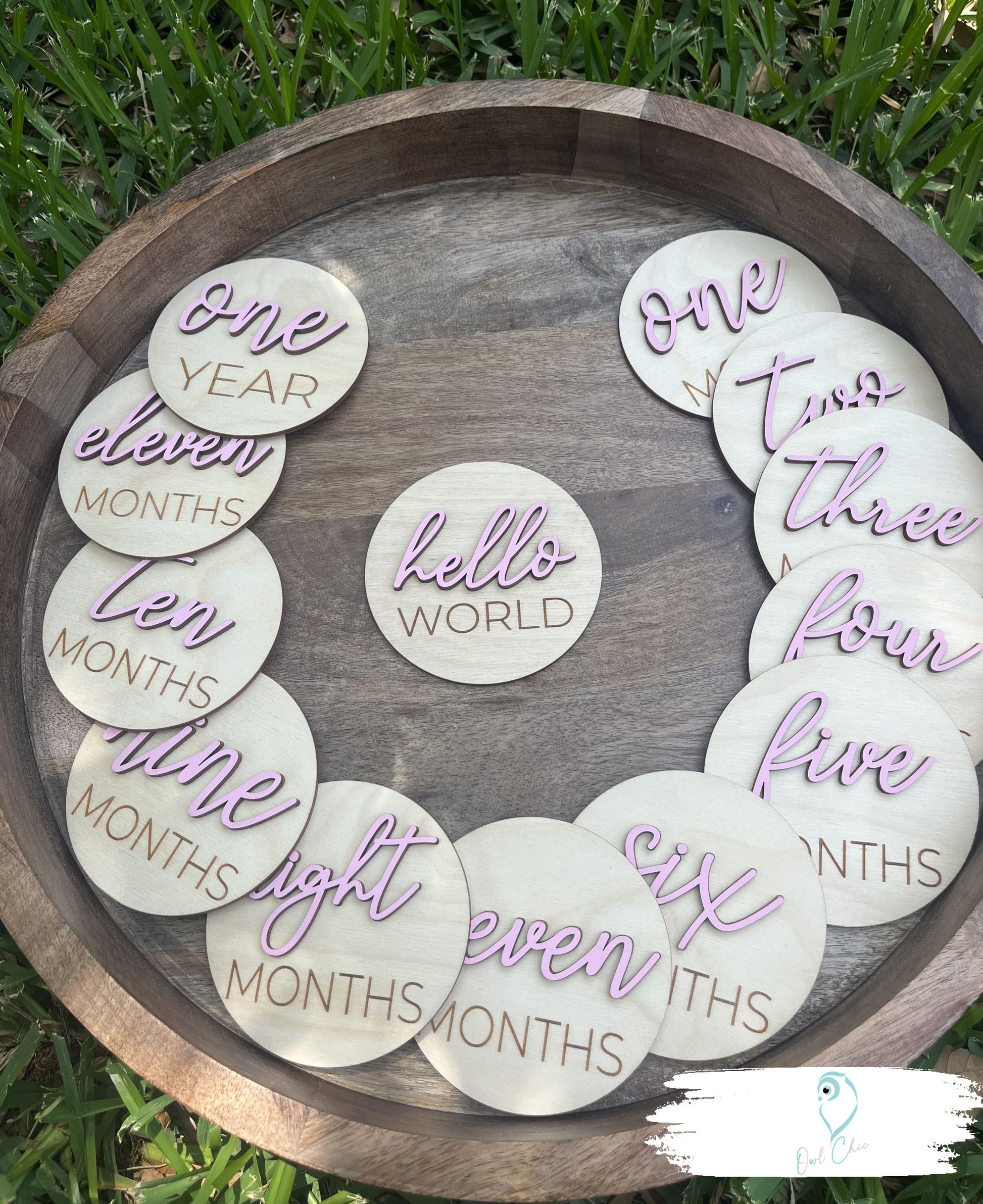Baby milestone marker set with pink lettering for monthly baby photos and first year milestones